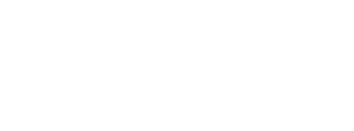 Incubadora Traders